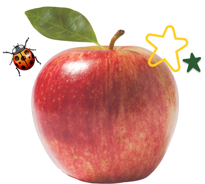 apple